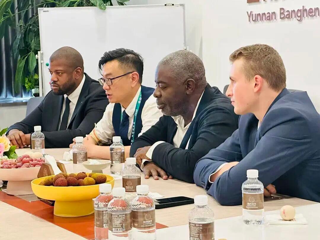 Rencontre institutionnelle avec les dirigeants de Sinopharm Hanfang (国药汉方) — pavillon Yunnan Banghen, China–South Asia Expo.